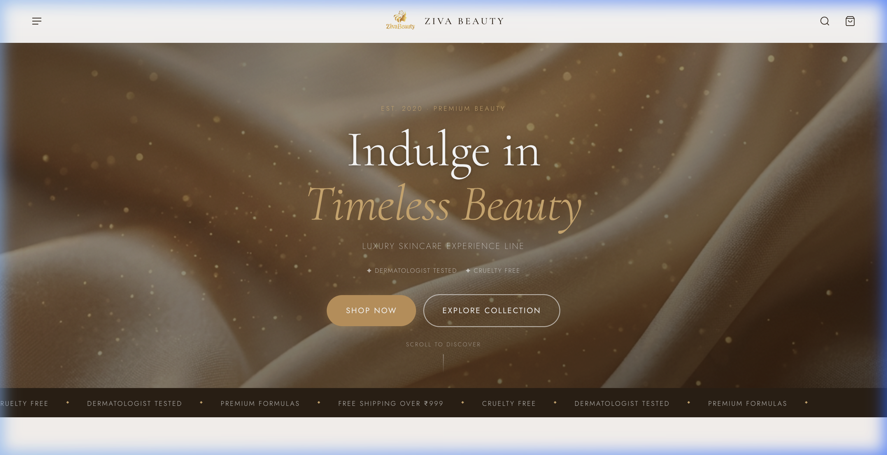 Ziva Beauty website preview